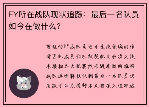 FY所在战队现状追踪：最后一名队员如今在做什么？